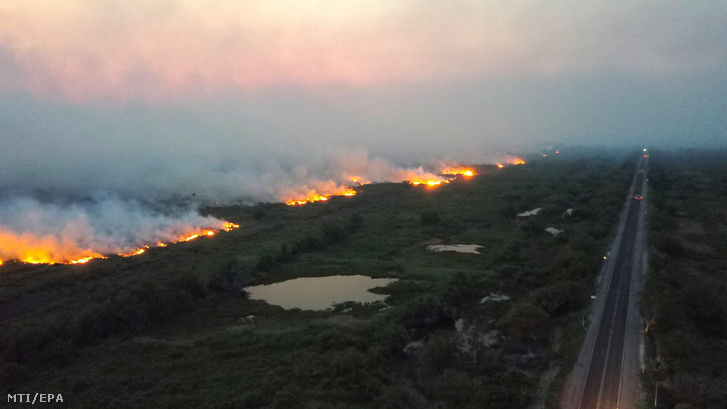 Lángok pusztítják a növényzetet az Amazonas-medencében a brazíliai Mato Grosso szövetségi államban lévõ Pantanal közelében 2019. október 31-én.
