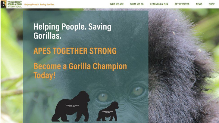 A Dian Fossey Alapítvány felvette szlogennek A majmok bolygójára utaló reddites szöveget (Forrás: The Dian Fossey Gorilla Fund)