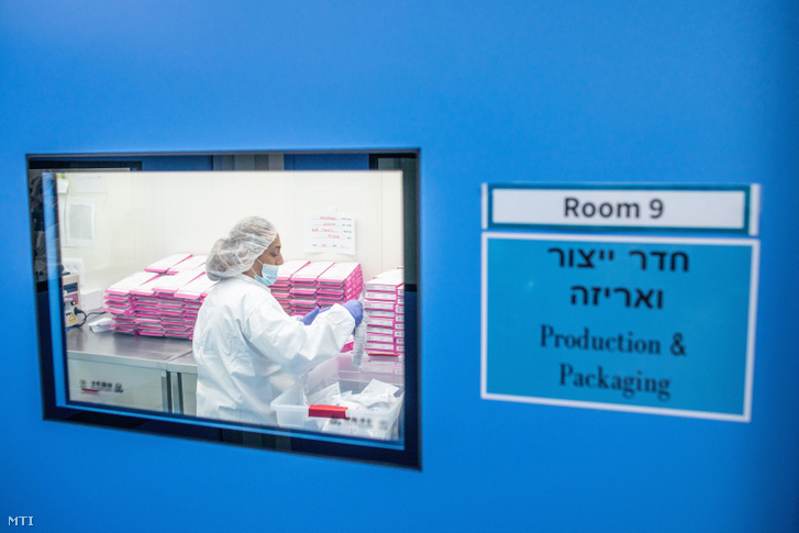 Orvosi kannabiszt csomagol egy dolgozó Izraelben a lodi BOL Pharma – Revadim Ipari Központ orvosikannabisz-termesztő és -feldolgozó telepének melegházában 2019. január 23-án