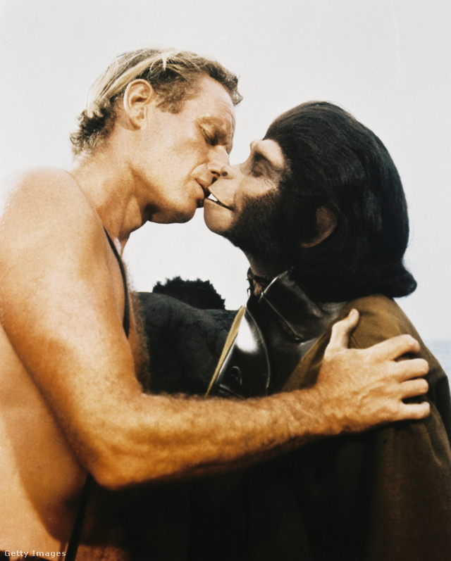 Nem jött össze az „ember-csimpánz románc”.