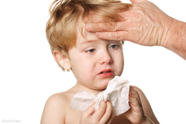 stockfresh 329118 sick-child-wiping-his-nose sizeM