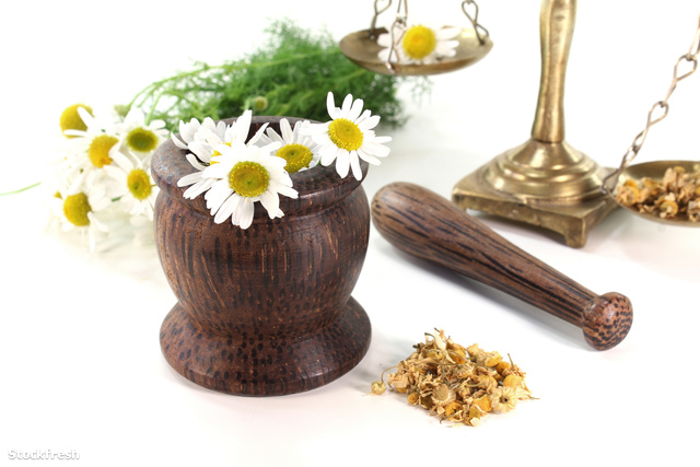 stockfresh 1078485 chamomile-flowers-with-mortar-and-scales size