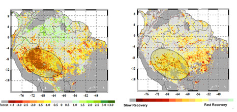 Bal oldalon a 2005-ös aszály kiterjedése látható, jobb oldalon pedig az a terület van bekarikázva, ahol lassan állt helyre az őserdő. A vörös és sárga színnel jelölt területek szenvednek a legjobban az aszály hatásától (NASA/JPL-Caltech)