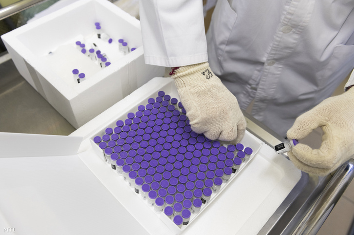 Egy laboratóriumi munkatárs oltópontok szerint elosztja a Pfizer koronavírus elleni oltóanyagát a nyíregyházi Jósa András Oktatókórház Labordiagnosztikai Osztályán 2020. december 27-én