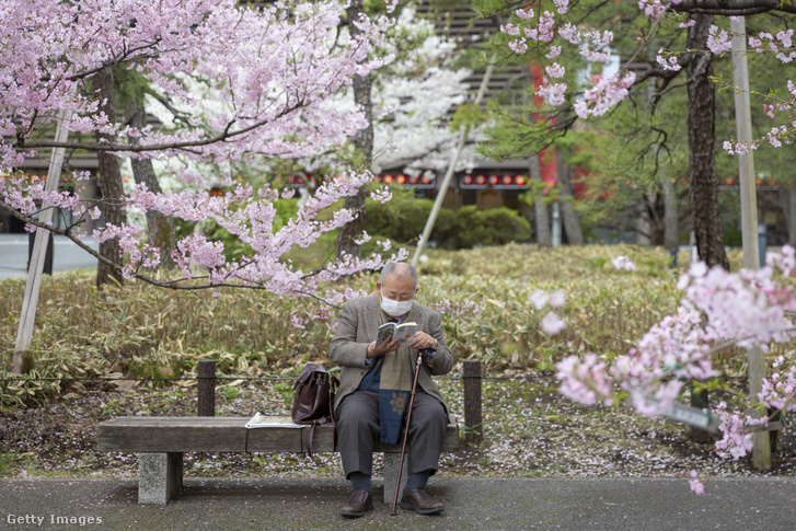 Egy maszkot viselő férfi könyvet olvas egy padon a cseresznyefavirágzása idején 2021. március 22-én Tokióban, Japánban