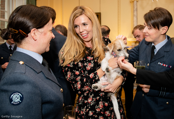 Carrie Symonds és kiskutyája, miközben Boris Johnson a fegyveres szolgálatok különböző tagjait látja vendégül egy katonai fogadáson 2019. szeptember 18-án, Londonban
