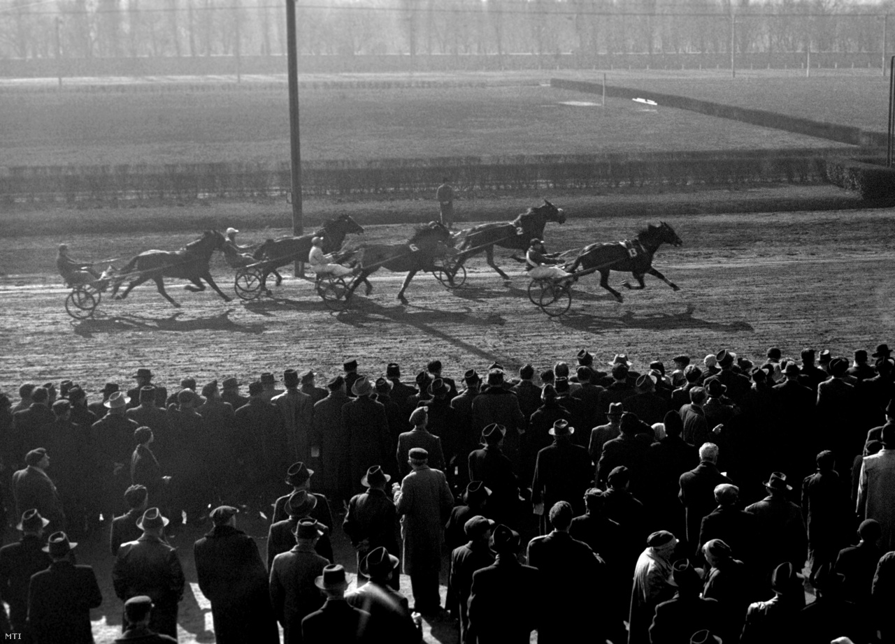 1957. február 10., ügetőverseny a lóversenypályán