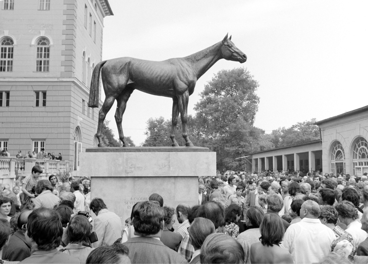 A verhetetlen versenyló, Kincsem szobra a galopp-pályán a magyar galoppversenyzés 150 éves évfordulóján rendezett avatási ünnepségen 1977. július 17-én
