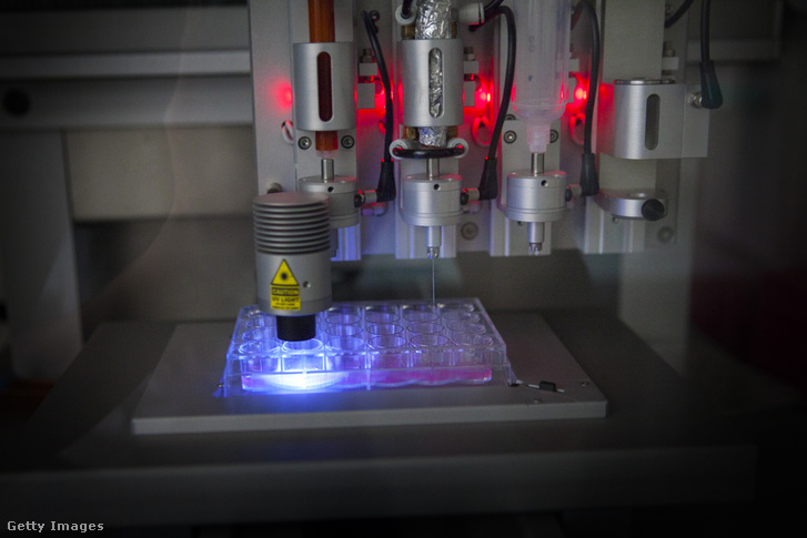 3D-nyomtatás alatt álló emberi szövet