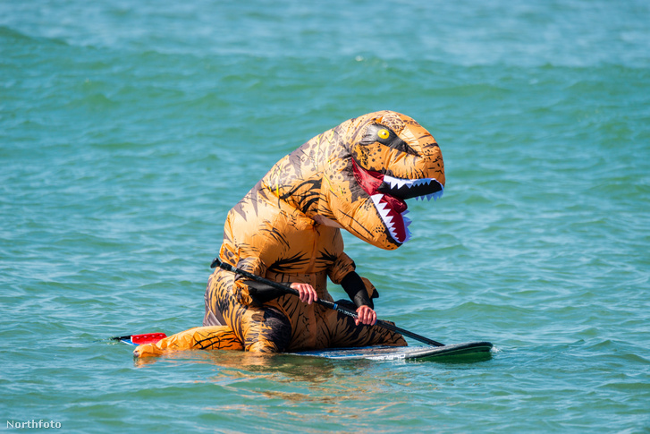 tk3s swns dinosaur boarder 005