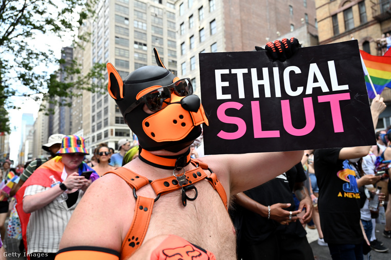 Ez a kutyafejű tüntető az etikus lotyókért állt ki.