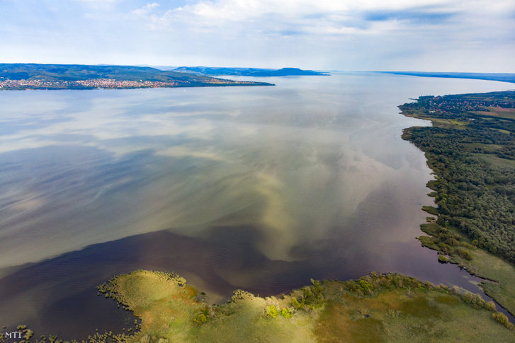 Algafoltok a Balatonon a Zala folyó torkolatánál Keszthely külterületi településrésze, Fenékpuszta közelében 2019. szeptember 11-én