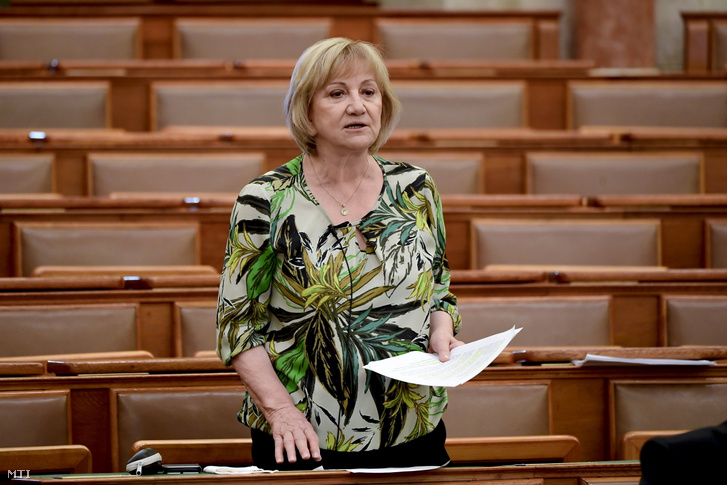 Schmuck Erzsébet, az LMP képviselője napirend előtt szólal fel az Országgyűlés plenáris ülésén 2021. június 15-én