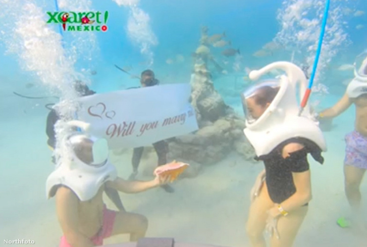 tk3s swns underwater proposal 04
