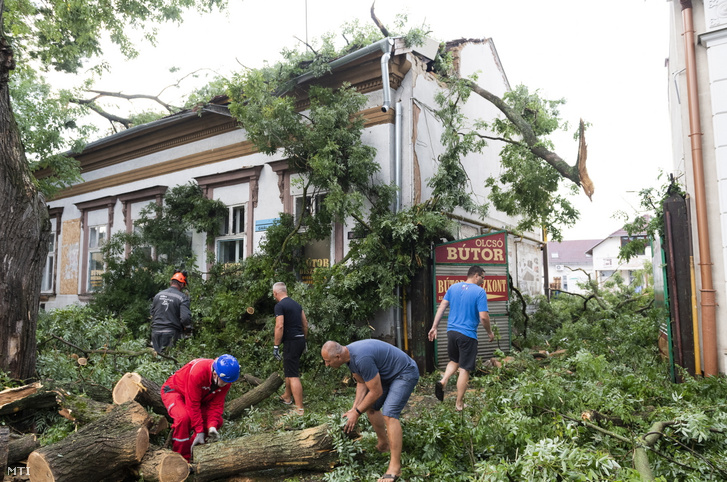 Épületre borult fákat távolítanak el vihar után a Nyíregyházán a Szent István utcában 2021. augusztus 1-jén