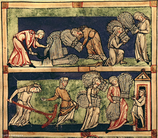 Aratási munka a középkorban.