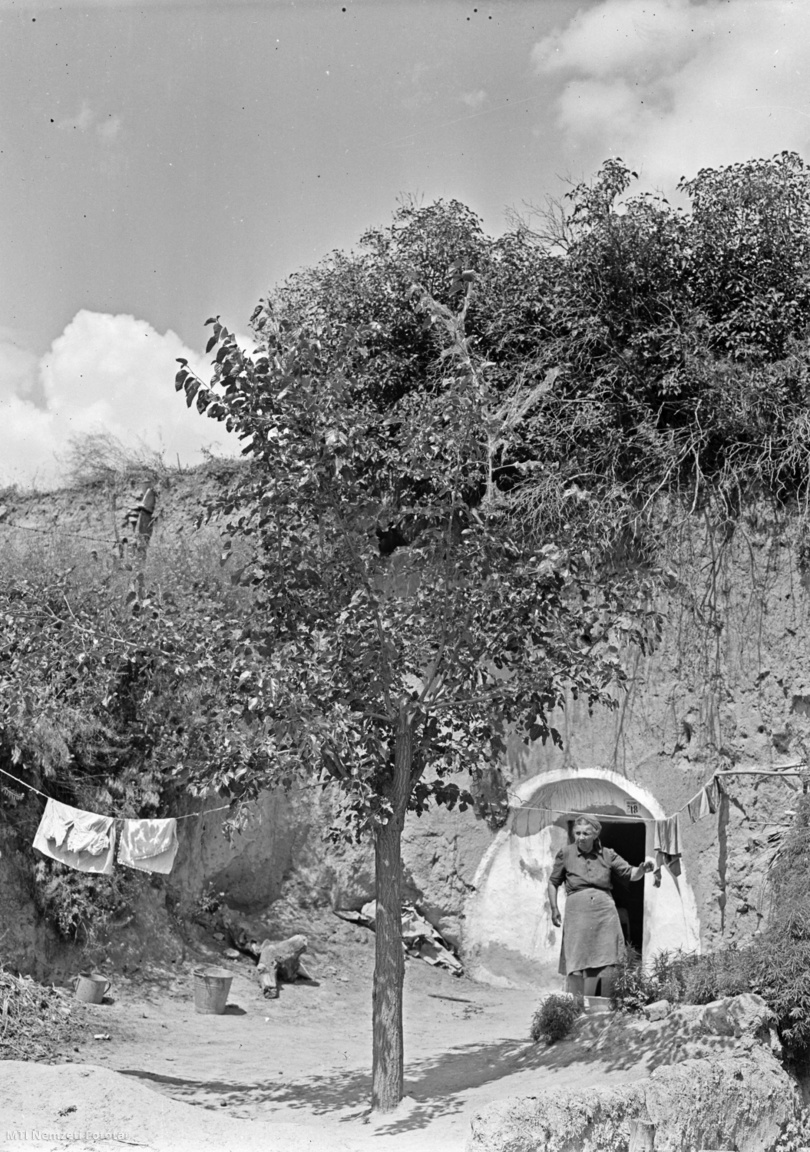 1951. június 28.  Barlanglakás Dunapentele régi településrészében