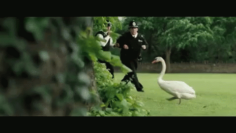 hotfuzz-swan.gif