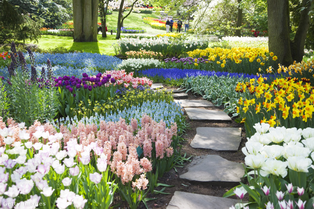 A tulipánok mellett számos növény közül választhatsz