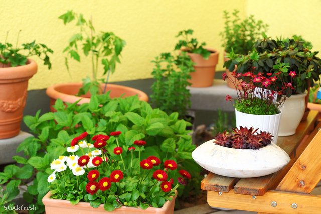 stockfresh 140731 terrace-or-roof-gardening sizeM