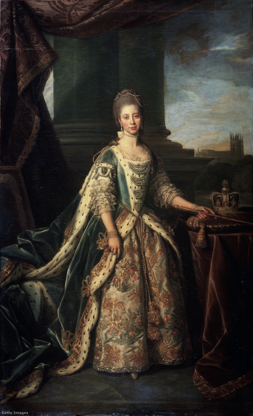 Zsófia Sarolta királyné, Nathaniel Dance-Holland festménye.