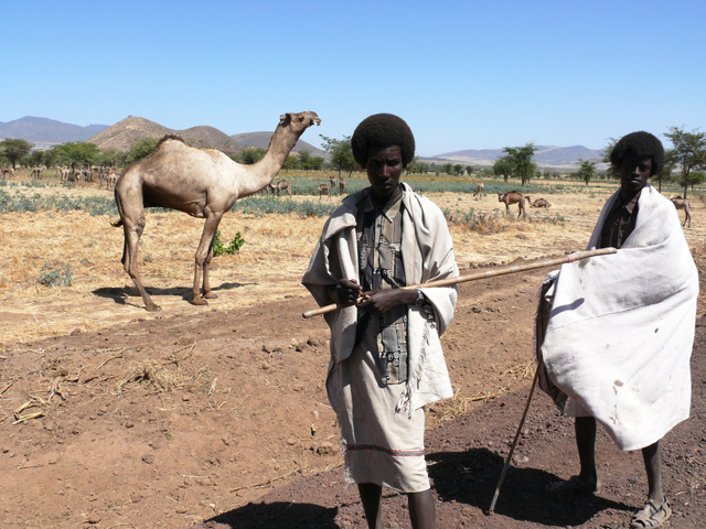 Oromo tevepásztorok