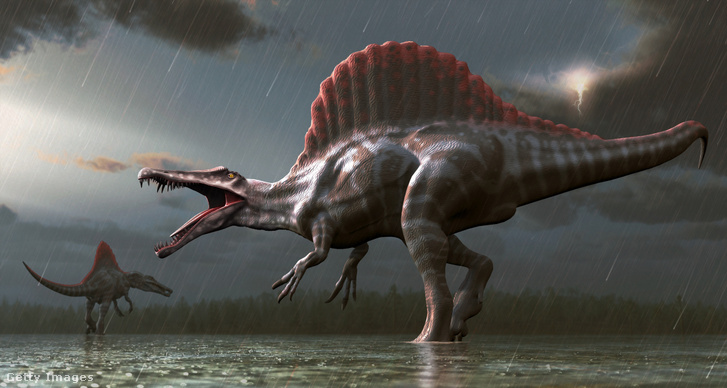 Rokon Spinosaurusok kedvenc vizes élőhelyükön