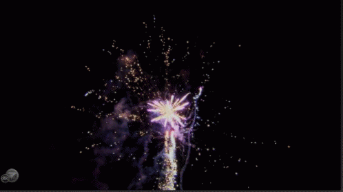 thebachelorette-abc.gif