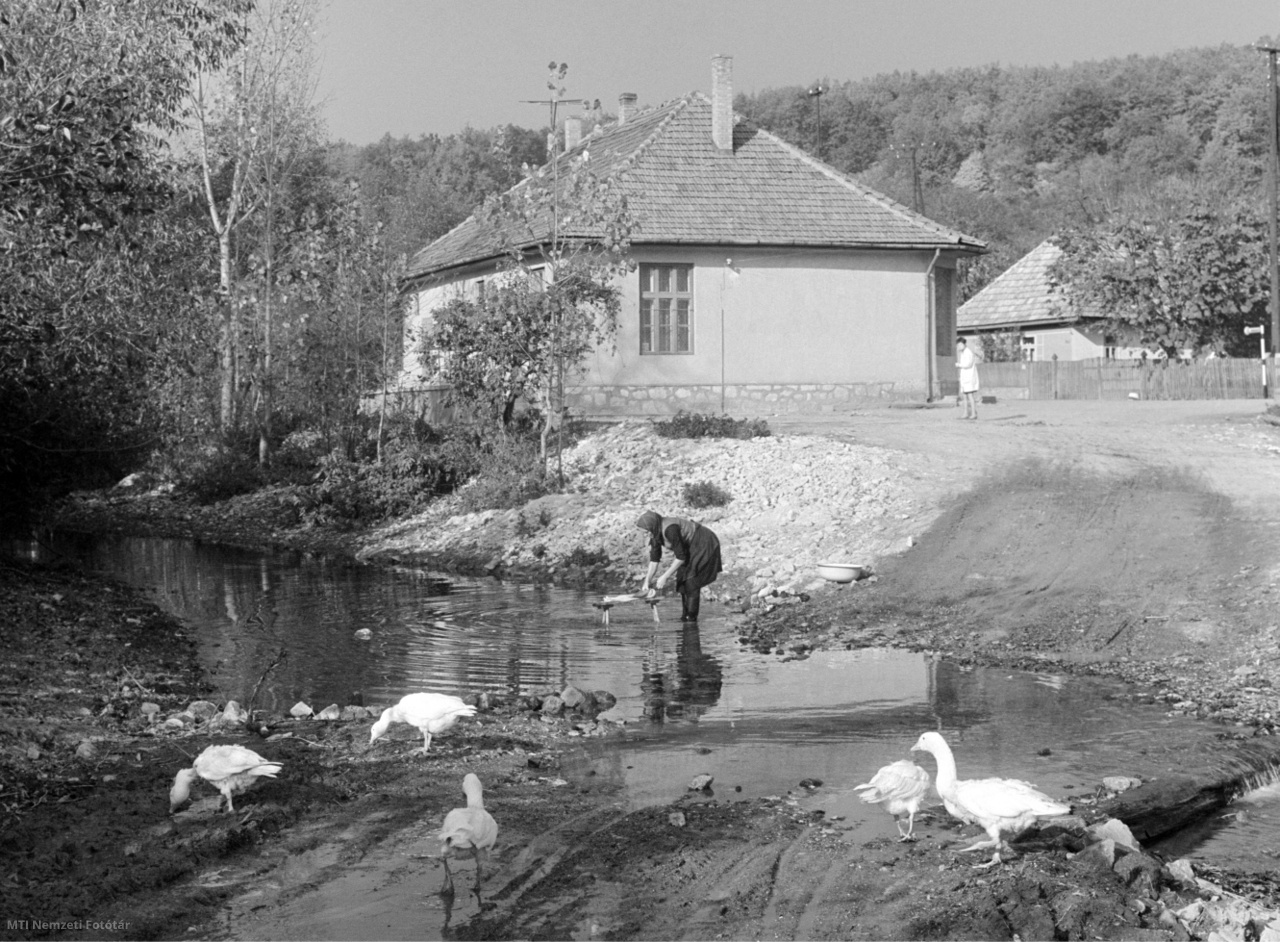 Füzérkomlós, 1968. november 5. Patakban sulykolóval mos egy asszony Füzérkomlóson. Füzérkomlós néhány száz lakosú község a szlovák határnál, Borsod-Abaúj-Zemplén megyében. A faluban a Komlós-patak folyik.