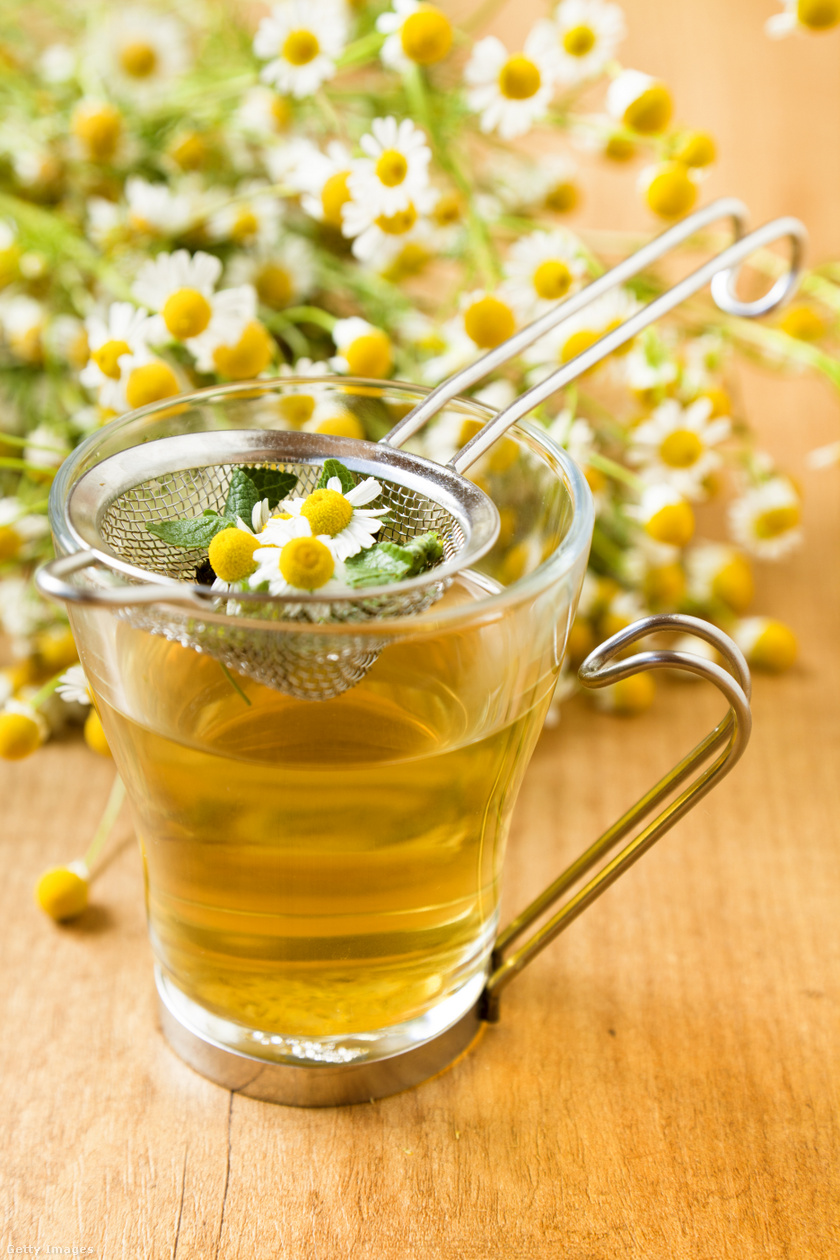kamilla tea fogyás egészségügyi előnyei