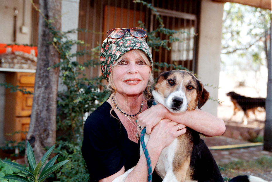 Brigitte Bardot elküldte a francba a budapesti vadászati kiállítást
