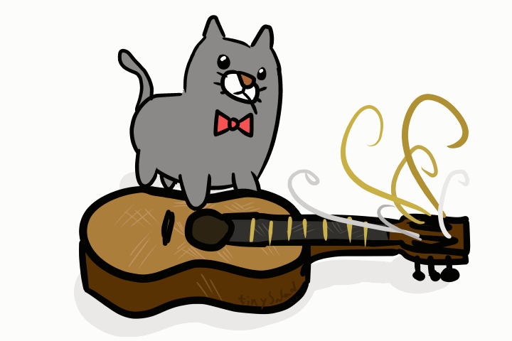 gitáros cica.gif