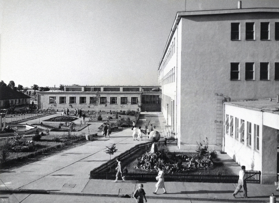 A Tisza Cipőgyár bejárata, Martfű, 1961. június 29.