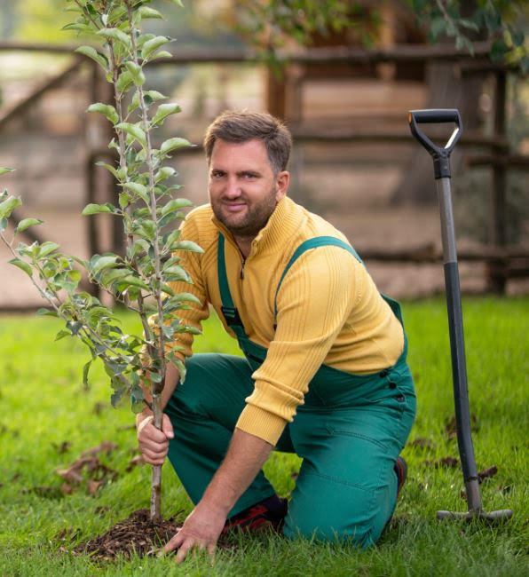 Megyeri Szabolcs kertész-kertészmérnök