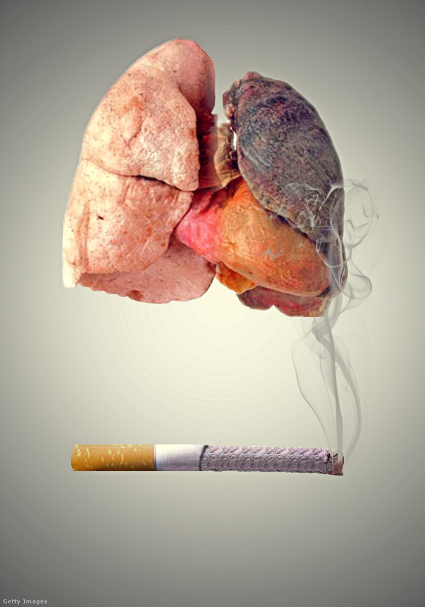 szív egészsége a dohányzás abbahagyása után