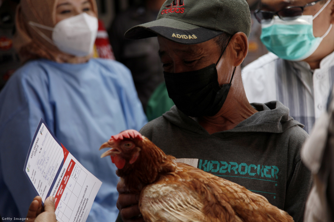 Egy lakos csirkét és oltási bizonyítványt kap, miután részt vett koronavírus elleni oltásban Nyugat-Jáva tartományban 2021. június 22-én