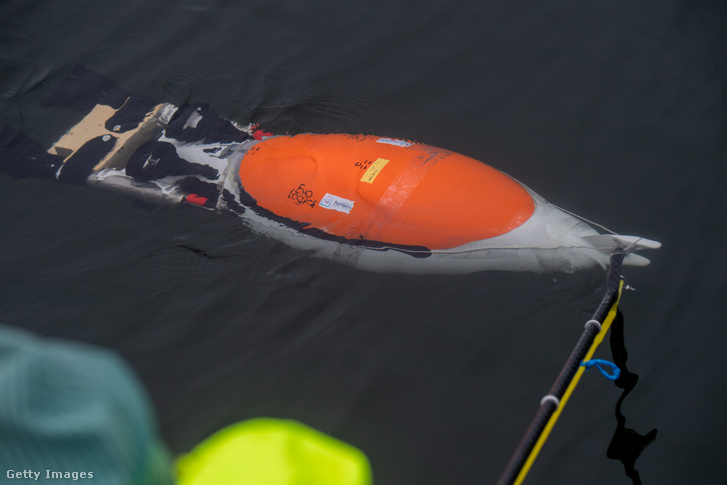 Pingvin alakú víz alatti drón prototípusa Stralsund kikötőjében 2021. november 11-én