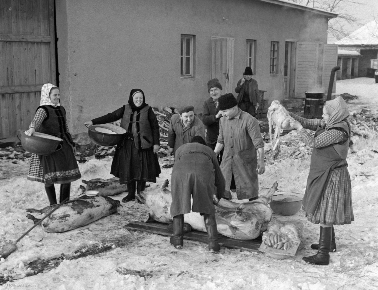 Nagytarcsa, 1966. január 28. Szétbontják a levágott malacokat a perzselés és tisztítás után a nagytarcsai Rákóczi Termelőszövetkezet (Tsz) dolgozói a gazdaság téli disznóvágásán.