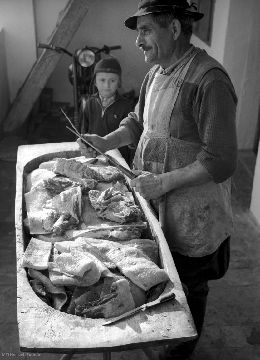 Győrszemere, 1959. december 10. K. Horváth István gazda a teknőbe készített húst és szalonnát készül feldolgozni disznóvágás után.