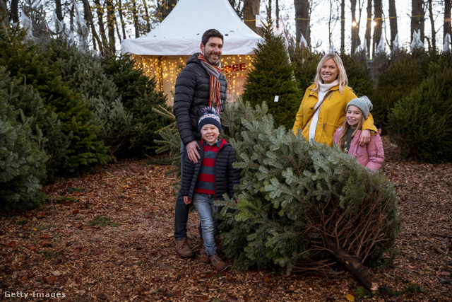 A karácsonyfa-vásárlás sokaknál igazi családi programnak számít
