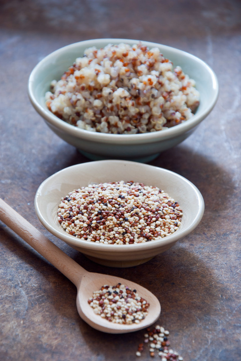 quinoa1 álló ok