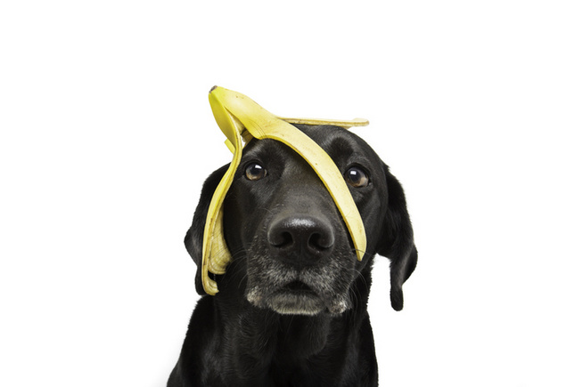 Meglepő, de a banán nagyon egészséges