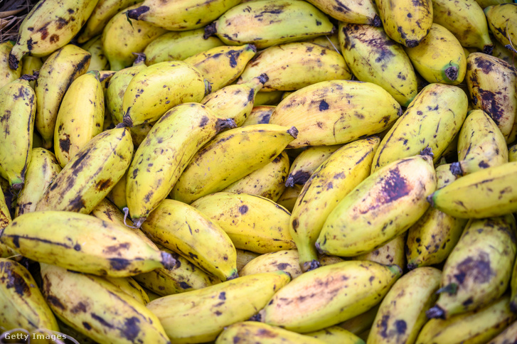 Etióp banán