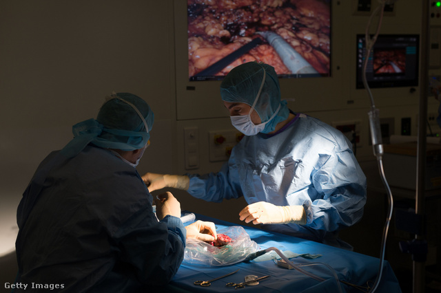 A szervátültetés állat donor és ember recipiens esetén sok kérdést vet fel