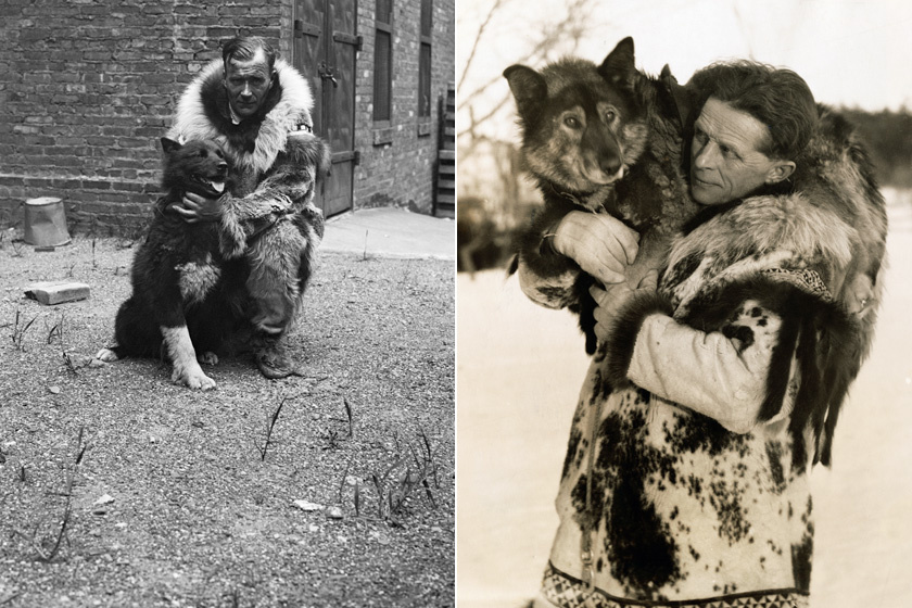 1925-ben a nyugat-alaszkai Nome-ban kitört a diftériajárvány, és mivel a -40 fokban nem tudták máshogy megközelíteni a várost, ezért szánhúzó kutyákkal küldték el a szükséges vakcinákat. Balto és Togo voltak a fogatok vezetői, és több száz kilométert futottak zord körülmények között. Ezután igazi hősként tisztelték őket, hiszen rengeteg ember életét mentették meg.