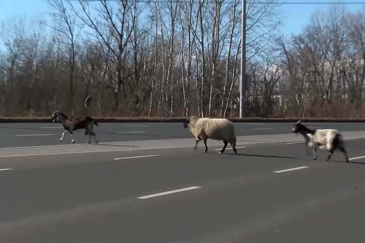 Képernyőkép 2022-02-10 092704