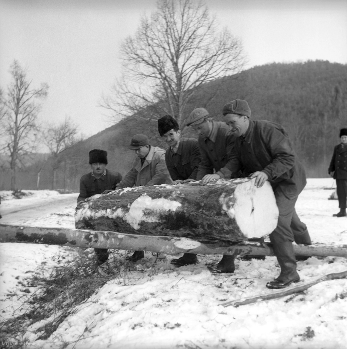 Parád, 1953. január 24. Farönköt görgető favágók egy havas tisztáson.