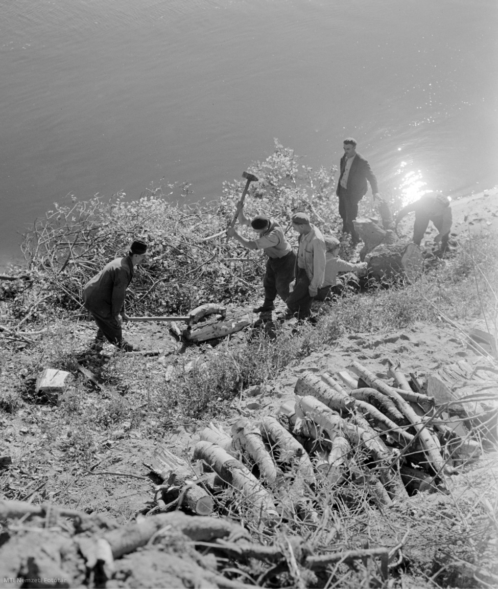 Magyarország, 1961. október 27. Favágók darabolják az ártéri erdő kivágott fáit a Tisza-parton.