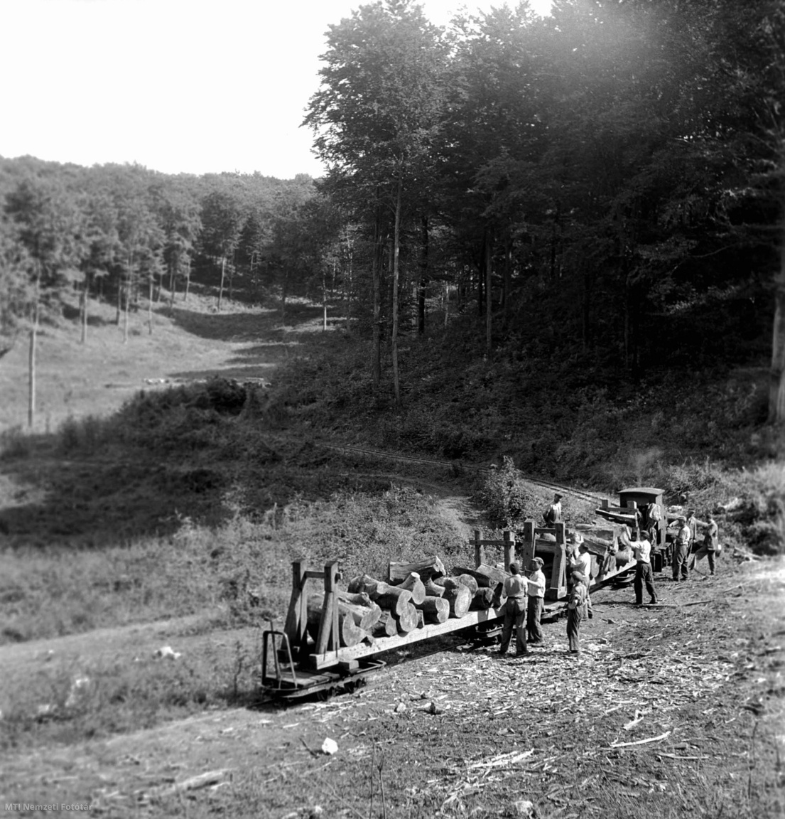 Bakonybél, 1953. szeptember 25. A bakonybéli üzemegység favágói kisvonatra rakják a fatörzseket a Pápai Erdőgazdaságban.