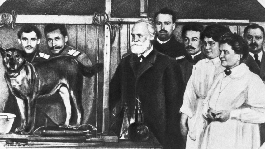 Ivan Pavlov és munkatársai a feltételes reflex jelenséget mutatják be egy kutyával